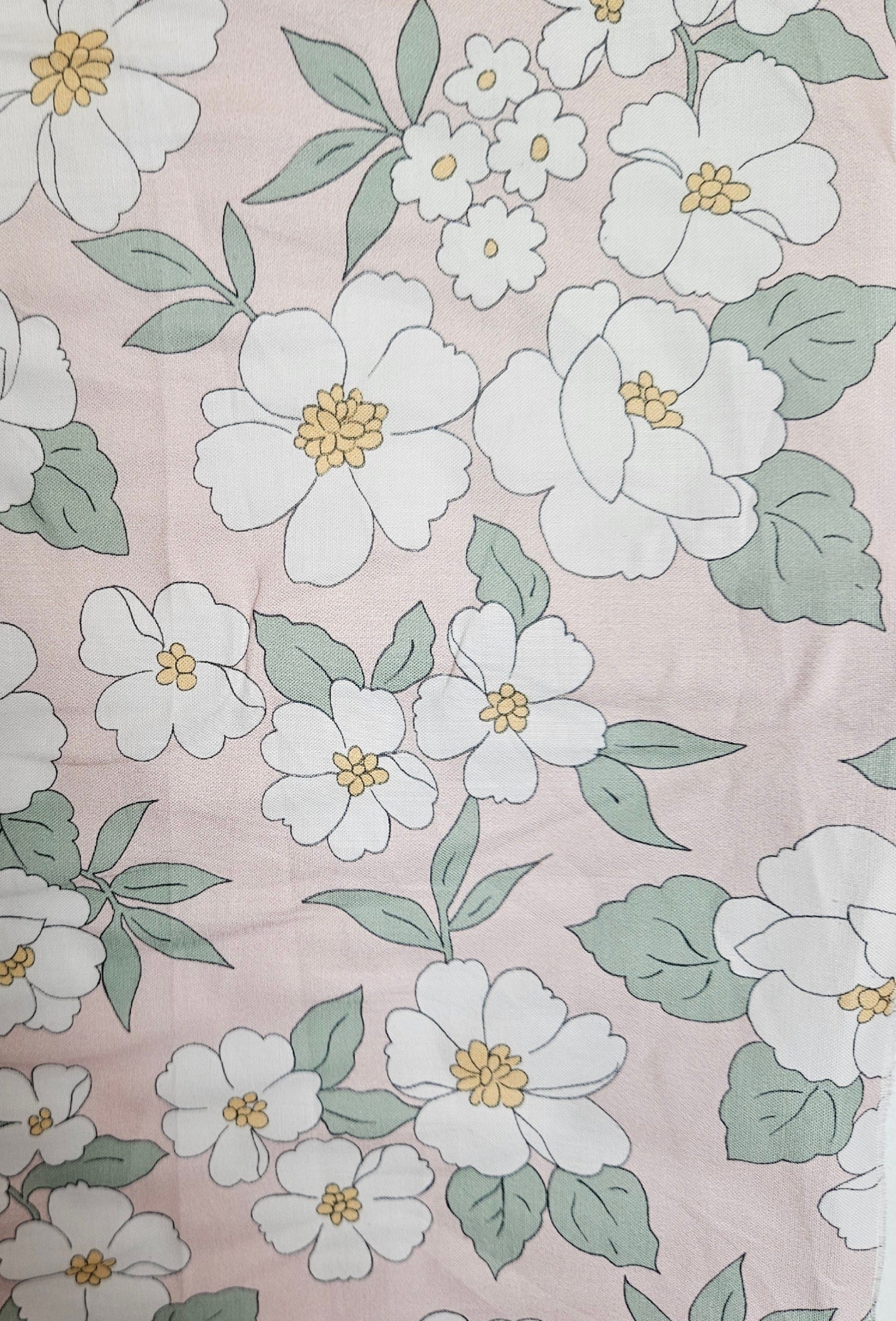 Flor Camelia